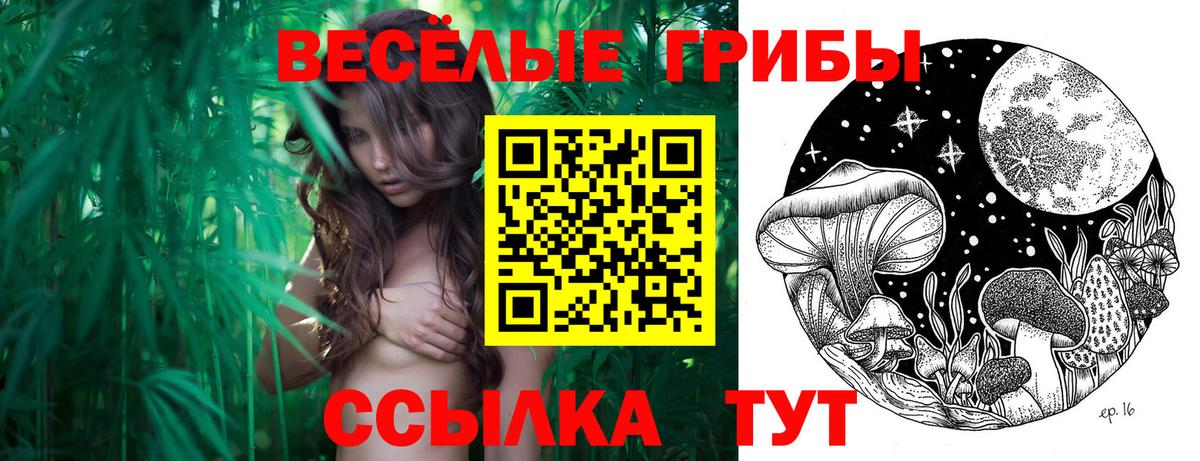 Галлюциногенные грибы прущие грибы  Вход с VPN  Новомосковск 