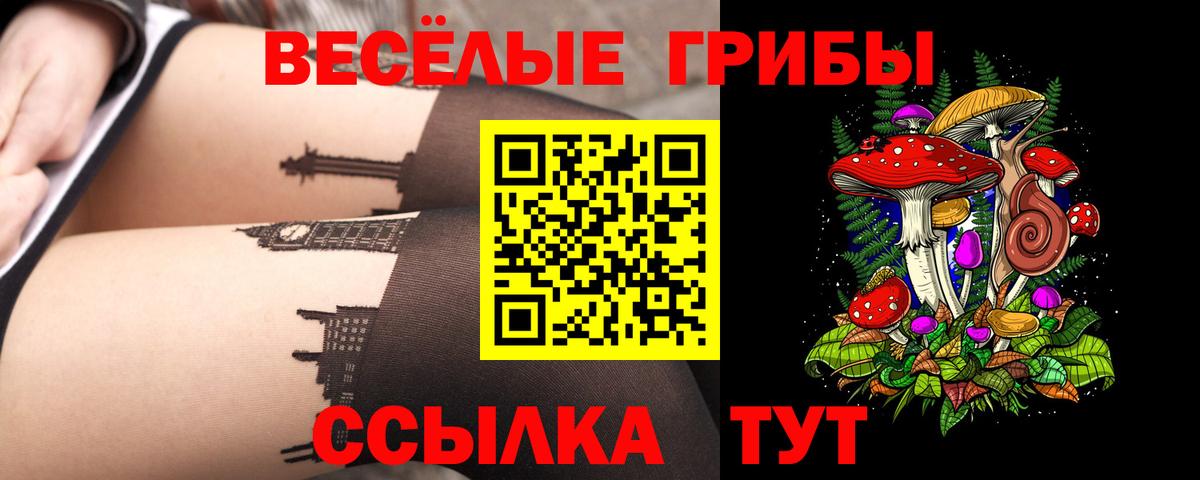 Галлюциногенные грибы ЛСД Новомосковск